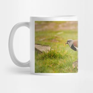 sbs lapwing Mug